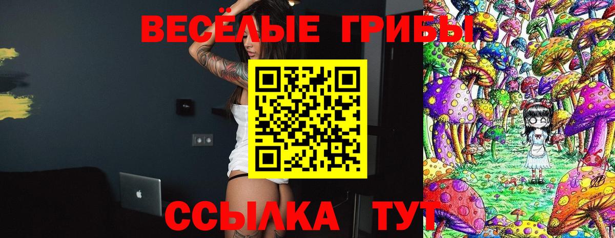 Галлюциногенные грибы Psilocybe Учалы